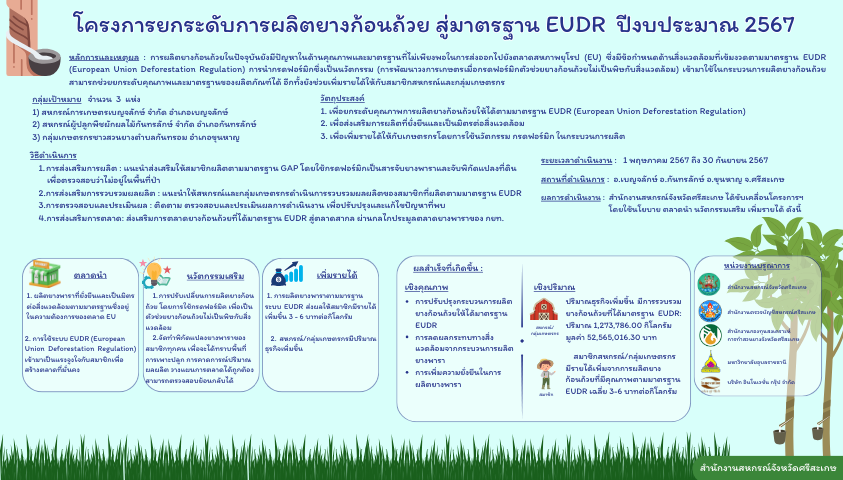 โครงการยกระดับการผลิตยางก้อนถ้วย สู่มาตรฐาน EUDR ปีงบประมาณ 2567